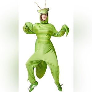 Praying mantis costume